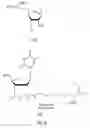 Fig. 09 - Methods and compositions for generating mixtures of nucleic acid molecules