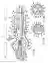 Fig. 09 - Endoscope