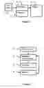 Fig. 02 - Multi-volume rendering of single mode data in medical diagnostic imaging