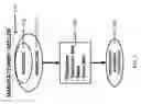Fig. 02 - Method and System for On-line Sales