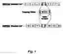 Fig. 02 - CAP/SORBS1 AND DIABETES