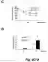 Fig. 09 - CAP/SORBS1 AND DIABETES