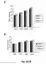 Fig. 10 - CAP/SORBS1 AND DIABETES