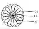 Fig. 01 - Round brilliant cut diamond and its incision method