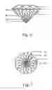 Fig. 04 - Round brilliant cut diamond and its incision method
