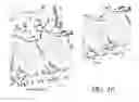 Fig. 15 - Enhancing digital images using secondary optical systems