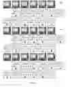 Fig. 25 - Pixels using associated dot polarity and associated dot switching elements for multi-domain vertical alignment liquid crystal displays