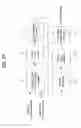 Fig. 24 - Broadcasting receiver and broadcast signal processing method