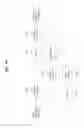 Fig. 72 - Broadcasting receiver and broadcast signal processing method