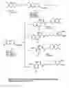 Fig. 05 - Sigma-2 receptor radiotracers for imaging the proliferative status of solid tumors