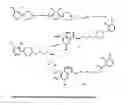 Fig. 07 - Sigma-2 receptor radiotracers for imaging the proliferative status of solid tumors