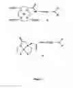 Fig. 08 - Sigma-2 receptor radiotracers for imaging the proliferative status of solid tumors