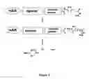 Fig. 02 - Heterocyclic self-immolative linkers and conjugates