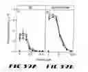 Fig. 41 - Recombinant vector expressing multiple costimulatory molecules and uses thereof