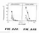 Fig. 44 - Recombinant vector expressing multiple costimulatory molecules and uses thereof