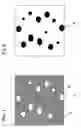Fig. 02 - White polyester film