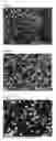 Fig. 02 - Cell culture substrate and its production method