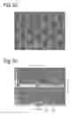 Fig. 03 - Biochip and process for the production of a biochip