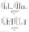 Fig. 06 - Nucleic Acid-Lipopolymer Compositions