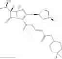 Fig. 09 - Penem prodrugs