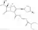 Fig. 13 - Penem prodrugs