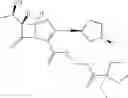 Fig. 18 - Penem prodrugs