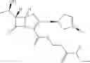Fig. 23 - Penem prodrugs