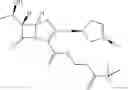 Fig. 25 - Penem prodrugs