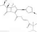 Fig. 29 - Penem prodrugs