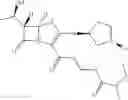 Fig. 31 - Penem prodrugs