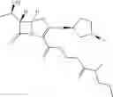 Fig. 32 - Penem prodrugs