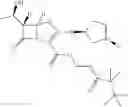 Fig. 34 - Penem prodrugs