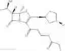 Fig. 39 - Penem prodrugs