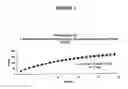 Fig. 02 - Pharmaceutical composition for the sustained release of hydralazine and use thereof as a support for cancer treatment