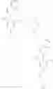 Fig. 86 - Substituted Phenly-Piperazine Compounds, Their Preparation And Use In Medicaments