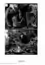Fig. 09 - Bone substitute comprising fucans and methods of making and use thereof