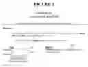 Fig. 03 - Video Enhanced electronic application