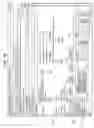 Fig. 19 - PHARMACY TASK LIST GENERATOR