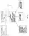 Fig. 20 - System for segmentation by product category of product images within a shopping cart