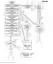 Fig. 64 - Virtual world reversion rights
