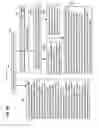 Fig. 82 - Virtual world reversion rights
