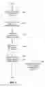 Fig. 10 - Downloading of Content