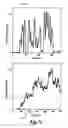 Fig. 10 - Employing pixel density to detect a spam image