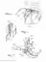 Fig. 06 - Compact Drain Assembly for Sinks and the Like