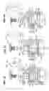 Fig. 07 - Pressure balanced engine valves