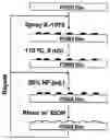 Fig. 01 - METHOD OF ENHANCING BIOCOMPATIBILITY OF ELASTOMERIC MATERIALS BY MICROTEXTURING USING MICRODROPLET PATTERNING