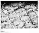 Fig. 07 - METHOD OF ENHANCING BIOCOMPATIBILITY OF ELASTOMERIC MATERIALS BY MICROTEXTURING USING MICRODROPLET PATTERNING