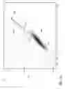 Fig. 07 - METHOD AND APPARATUS FOR DETERMINING AN ANALYTE CONCENTRATION IN A SAMPLE HAVING INTERFERENTS