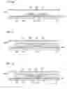 Fig. 22 - LIQUID CRYSTAL DISPLAY DEVICE AND TELEVISION RECEIVER