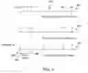 Fig. 08 - Signaling of random access preamble sequences in wireless networks